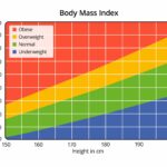 Understanding Your Body Mass Index (BMI)